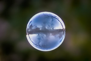 reflection of our back yard in frozen soap bubble     